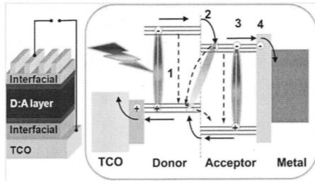 OPV device structure and photoelectric conversion mechanism